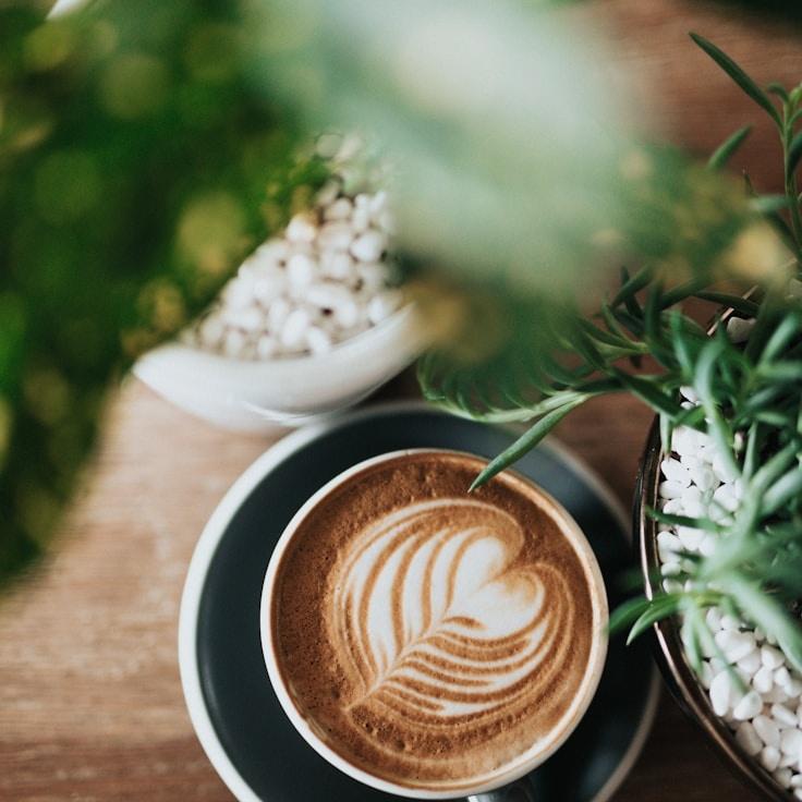 Whisper of Dawn Gourmet Coffee Blend